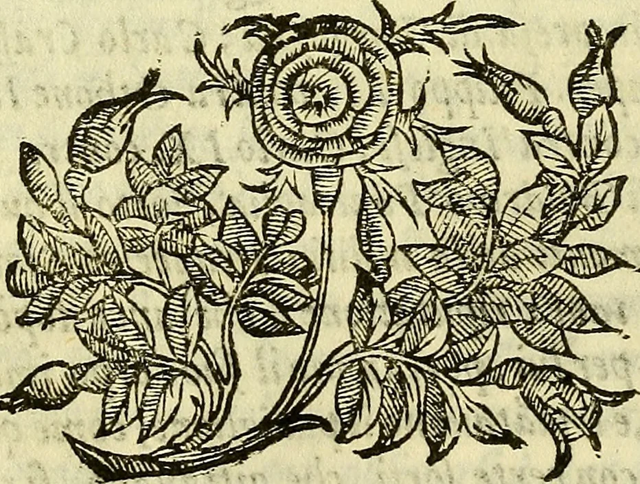 An illustration from Della ragione di stato, libri dieci, 1598, leaf 327