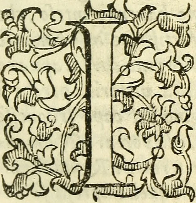 An illustration from Della ragione di stato, libri dieci, 1598, leaf 328
