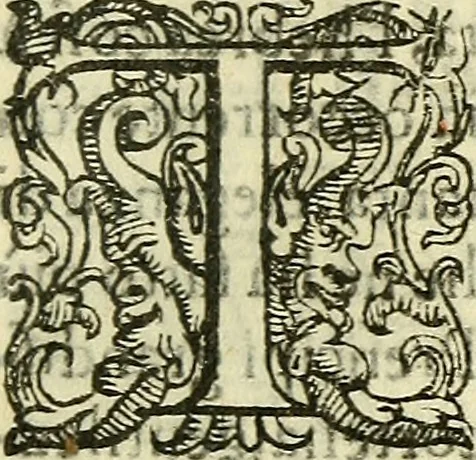 An illustration from Della ragione di stato, libri dieci, 1598, leaf 354