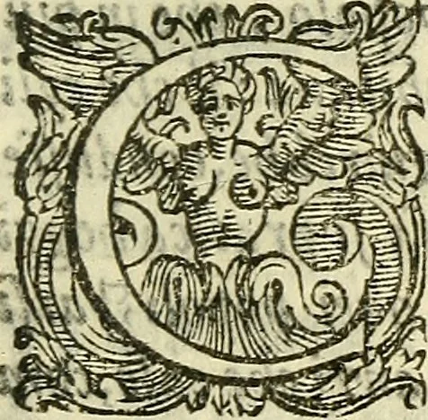 An illustration from Della ragione di stato, libri dieci, 1598, leaf 356