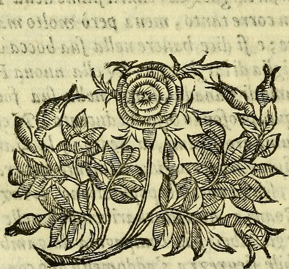 An illustration from Della ragione di stato, libri dieci, 1598, leaf 377