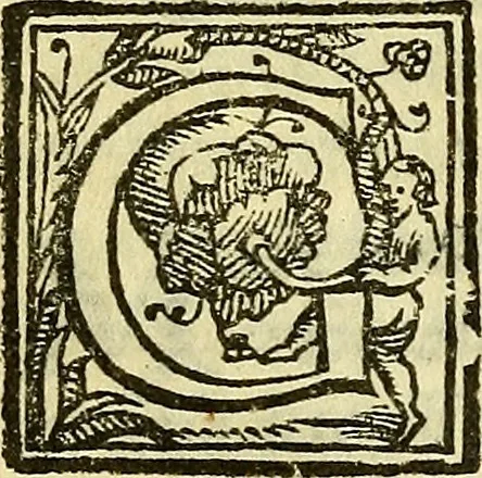 An illustration from Della ragione di stato, libri dieci, 1598, leaf 45