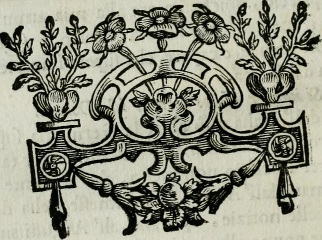 An illustration from I trionfi dell'architettvra nella sontuosa residenza di Monaco : descritti e rappresentati all'Altza. serenissima di Ferdinando Maria, duca dell'una e l'altra Baviera, conte Palatino del Reno ..., 1667, leaf 11