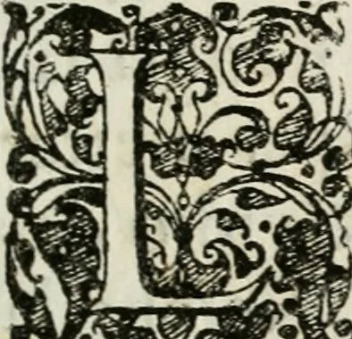 An illustration from I trionfi dell'architettvra nella sontuosa residenza di Monaco : descritti e rappresentati all'Altza. serenissima di Ferdinando Maria, duca dell'una e l'altra Baviera, conte Palatino del Reno ..., 1667, leaf 14