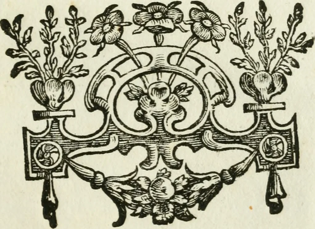 An illustration from I trionfi dell'architettvra nella sontuosa residenza di Monaco : descritti e rappresentati all'Altza. serenissima di Ferdinando Maria, duca dell'una e l'altra Baviera, conte Palatino del Reno ..., 1667, leaf 164