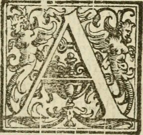 An illustration from Della realtà & perfettione delle impresse / con l'essamine di tutte le openioni infino a quì scritte sopra tal' arte, 1612, leaf 36