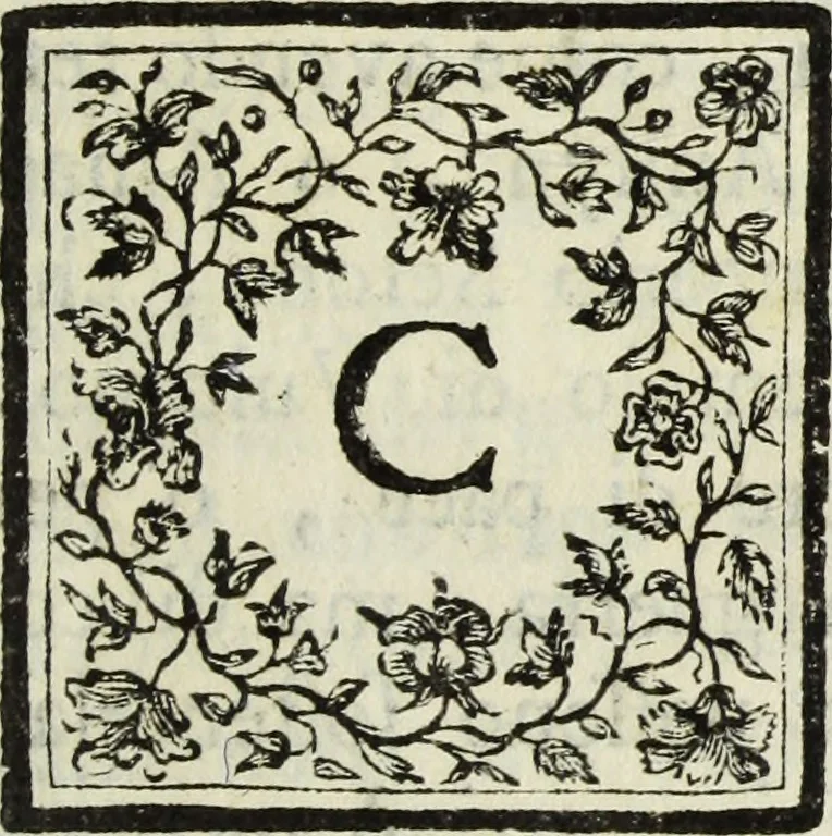 An illustration from Della religione de' gentili per riguardo ad alcuni animali e specialmente a' topi : dissertazione indirizzata ad illustrare un' antica statua, ed a servire per la migliore intelligenza di alcuni passi della storia profana e della corrispondenza loro colla storia sacra, 1771, leaf 14