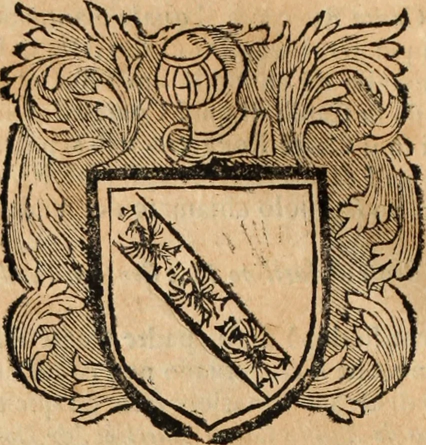 An illustration from Dell'armi, overo insegne dei nobili, ove sono i discorsi d'alcune famiglie, così spente, come vive del regno di Napoli : 4. et ultima impressione nella quale si suppliscono quelle famiglie che poste nella prima, erano dall'istesso autore state levate nella seconda, 1701, leaf 107
