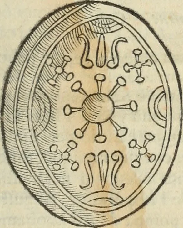 An illustration from Dell'armi, overo insegne dei nobili, ove sono i discorsi d'alcune famiglie, così spente, come vive del regno di Napoli : 4. et ultima impressione nella quale si suppliscono quelle famiglie che poste nella prima, erano dall'istesso autore state levate nella seconda, 1701, leaf 18