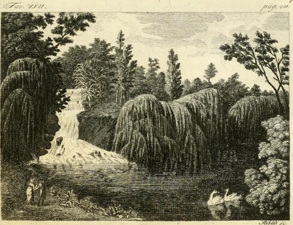 An illustration from Dell'arte dei giardini inglesi, 1800, leaf 217