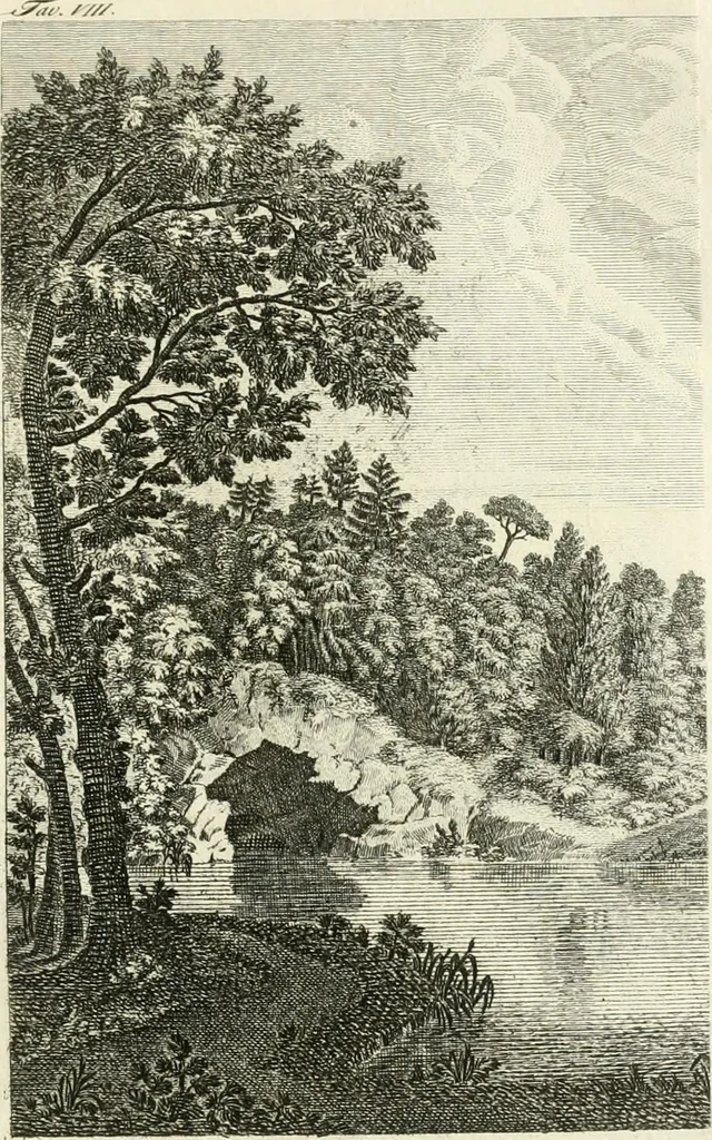An illustration from Dell'arte dei giardini inglesi, 1800, leaf 99