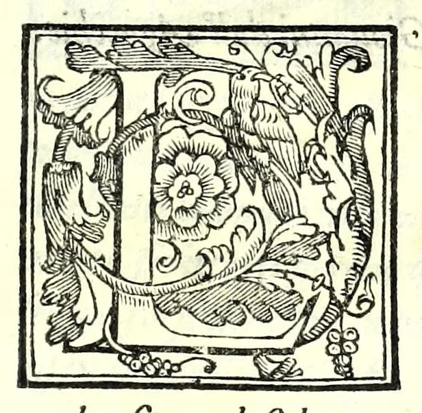 An illustration from Dell'arte di scrimia libri tre, 1572, leaf 7