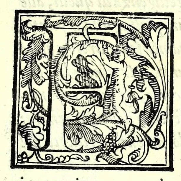 An illustration from Dell'arte di scrimia libri tre, 1572, leaf 9