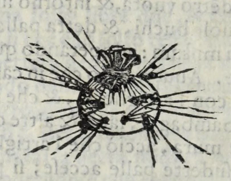 An illustration from Dell'arte militare libri cinque : ne' quali si tratta il modo di fortificare, offendere, et diffendere vna fortezza: et l'ordine come si debano fare gli alloggiamenti campali, & formare le battaglie, et nell'vltimo l'essamine de bombardieri, & di far fuochi arteficiati, 1608, leaf 422