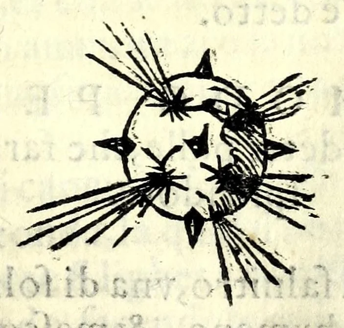 An illustration from Dell'arte militare libri cinqve : ne' qvali si tratta il modo di fortificare, offeendere [sic], et diffendere vna fortezza : et l'ordine come si debbano fare gli alloggiamenti campali & formare le battaglie : et nell'vltimo l'essamine de' bombardieri, & di far fuochi arteficiati, 1584, leaf 423