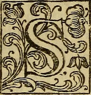 An illustration from Dell'arte pittorica libri VIII. : coll'aggiunta di Componimenti diversi, 1768, leaf 152