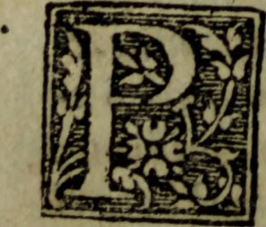 An illustration from Della tragedia de m. Francesco Negro bassanese, intitolata Libero arbitrio, editione seconda, con accrescimento, 1550, leaf 285