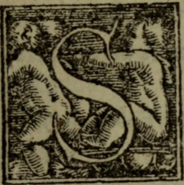 An illustration from Della tragedia de m. Francesco Negro bassanese, intitolata Libero arbitrio, editione seconda, con accrescimento, 1550, leaf 40