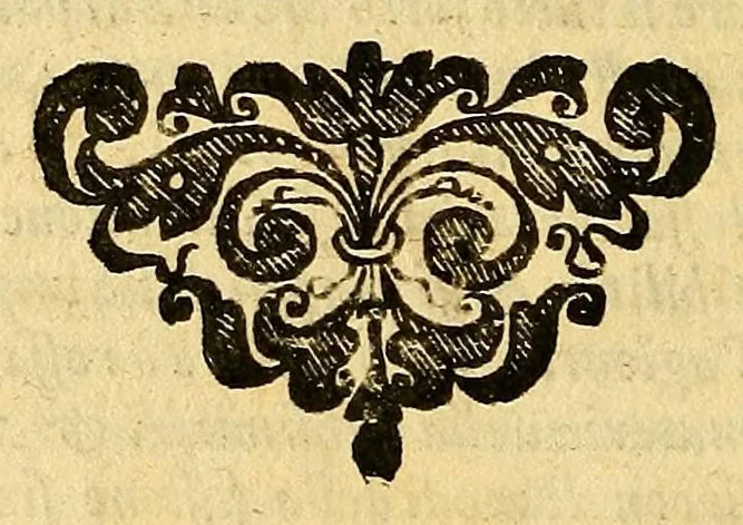 An illustration from Della tramutatione metallica sogni tre, 1599, leaf 232