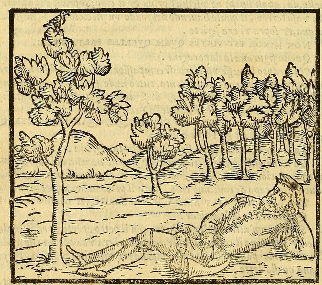 An illustration from Della tramutatione metallica sogni tre, 1599, leaf 62