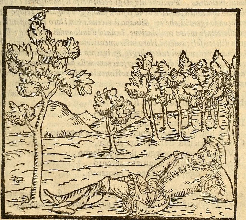 An illustration from Della tramutatione metallica sogni tre, 1599, leaf 69