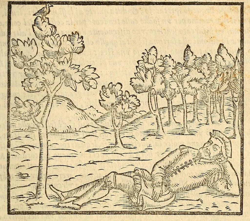 An illustration from Della tramutatione metallica sogni tre, 1599, leaf 83