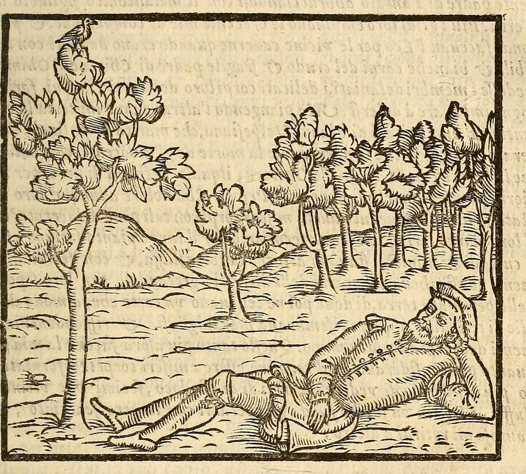 An illustration from Della tramutatione metallica sogni tre, 1599, leaf 95