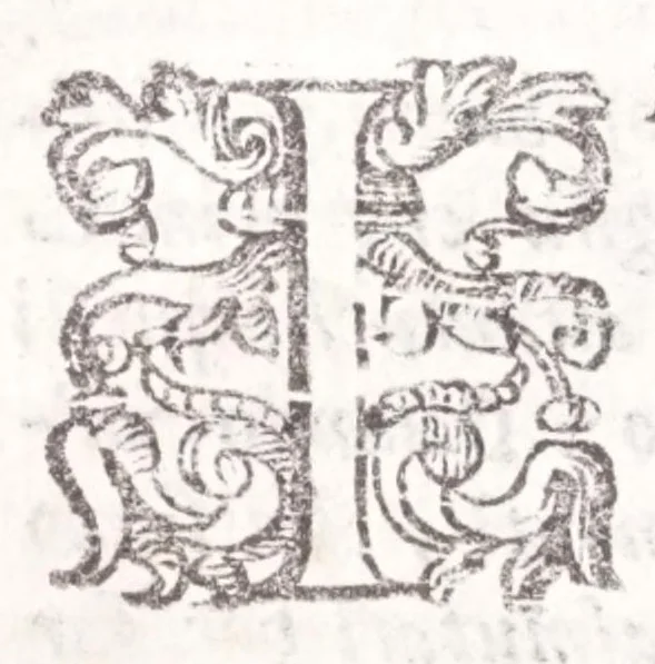 An illustration from Della tramutatione metallica sogni tre, 1599, leaf 104