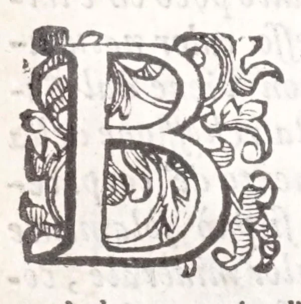 An illustration from Della tramutatione metallica sogni tre, 1599, leaf 112