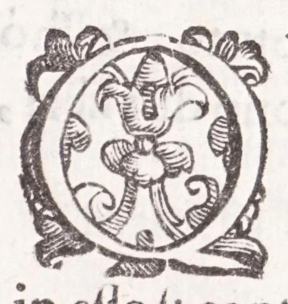An illustration from Della tramutatione metallica sogni tre, 1599, leaf 189