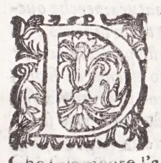 An illustration from Della tramutatione metallica sogni tre, 1599, leaf 191