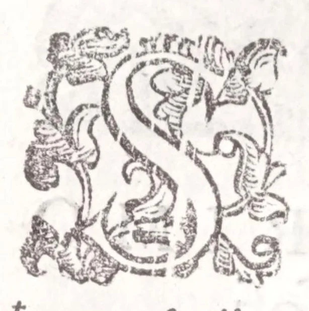 An illustration from Della tramutatione metallica sogni tre, 1599, leaf 192