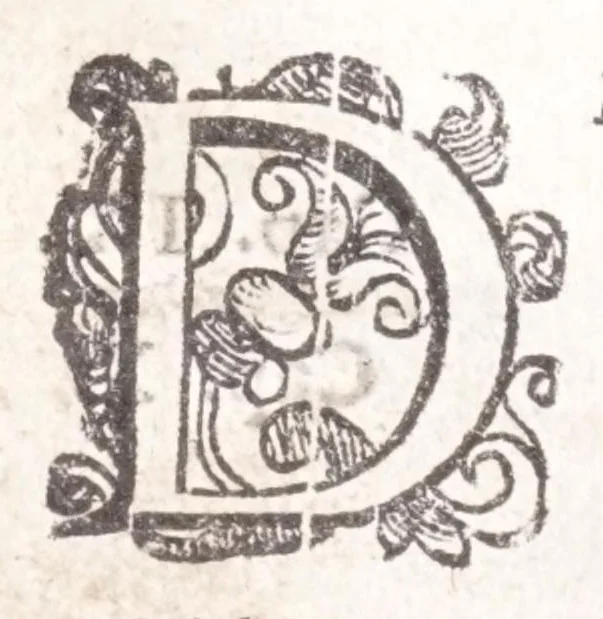 An illustration from Della tramutatione metallica sogni tre, 1599, leaf 192