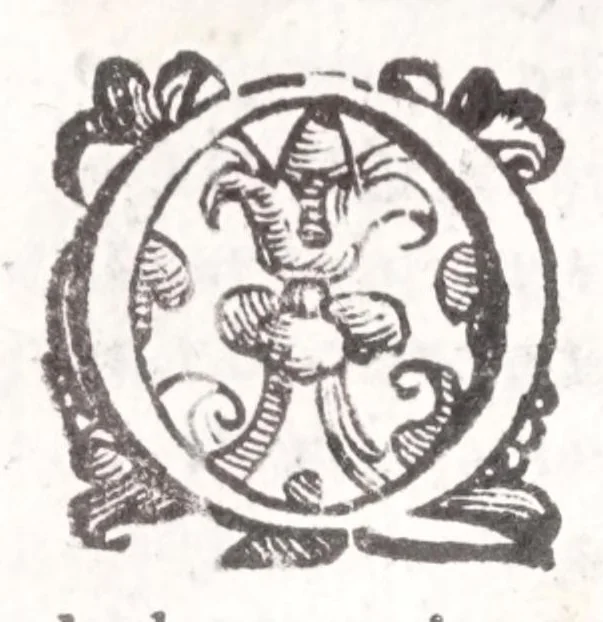 An illustration from Della tramutatione metallica sogni tre, 1599, leaf 220