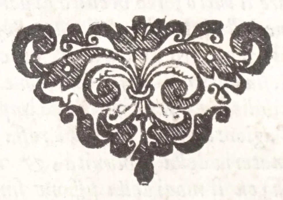 An illustration from Della tramutatione metallica sogni tre, 1599, leaf 230