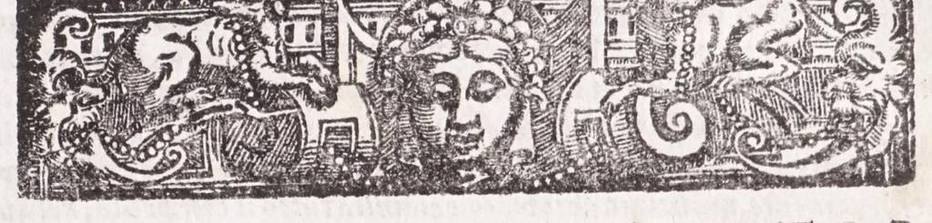 An illustration from Della tramutatione metallica sogni tre, 1599, leaf 249