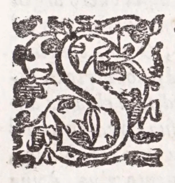 An illustration from Della tramutatione metallica sogni tre, 1599, leaf 249