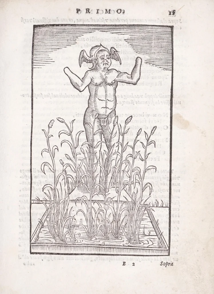 An illustration from Della tramutatione metallica sogni tre, 1599, leaf 31