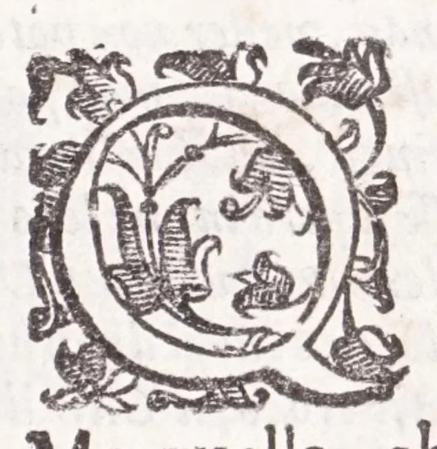 An illustration from Della tramutatione metallica sogni tre, 1599, leaf 53