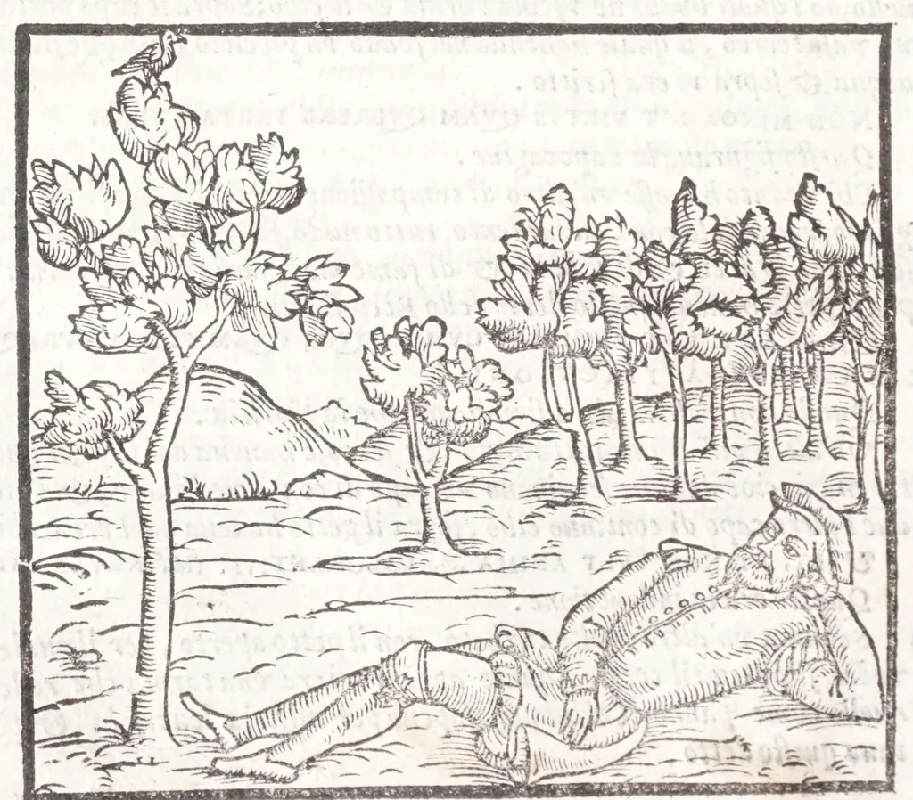 An illustration from Della tramutatione metallica sogni tre, 1599, leaf 60