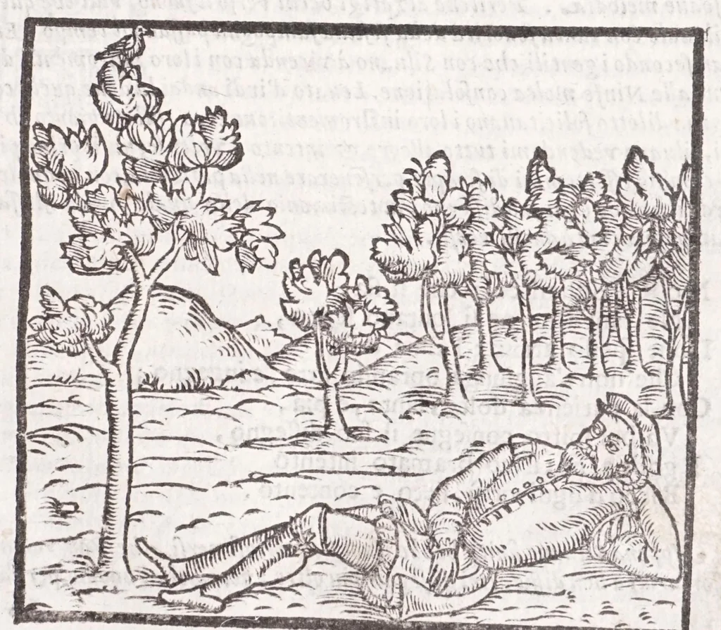 An illustration from Della tramutatione metallica sogni tre, 1599, leaf 67