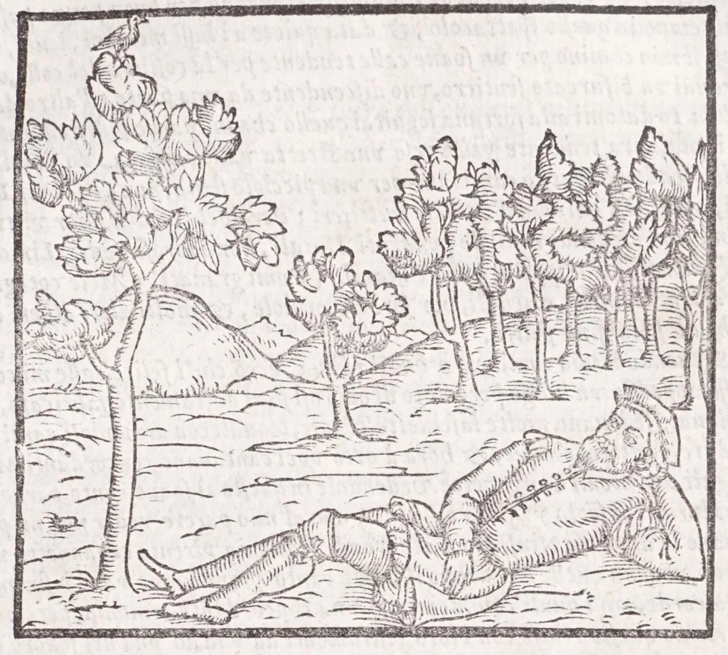An illustration from Della tramutatione metallica sogni tre, 1599, leaf 81