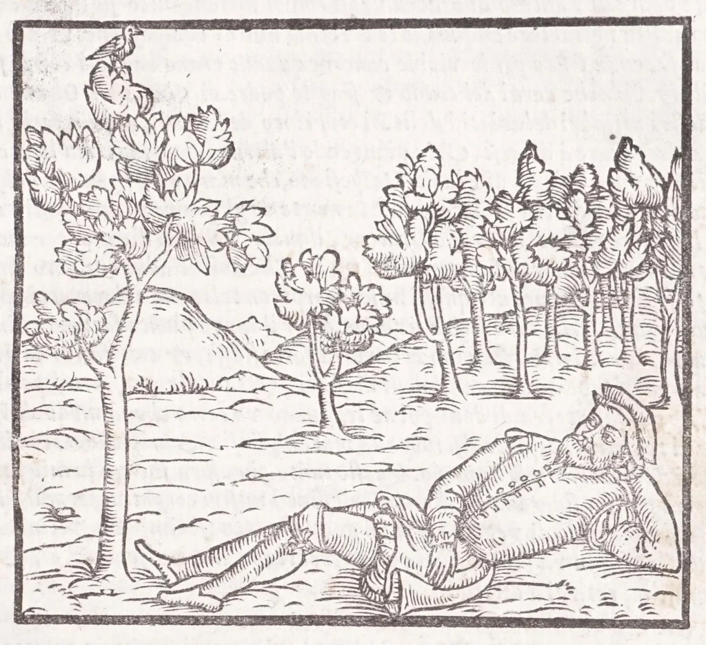 An illustration from Della tramutatione metallica sogni tre, 1599, leaf 93