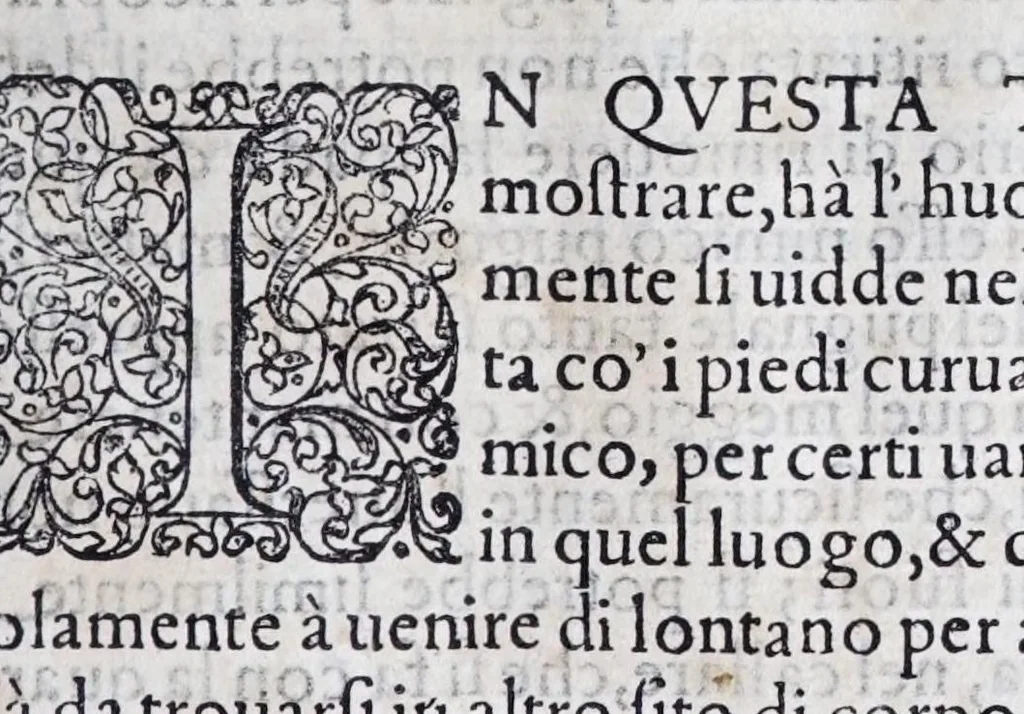 An illustration from Della vera pratica & scienza d'armi libri due : nel primo de quali si tratta li fondamenti della spada sola, le raggioni di spada e pugnale, & di spada e cappa : nel secondo, si dà regole per ferire il nemico subito posto mano alla spada, altre di cosi subita rissolutione con spada e pugnale, & altre ancora per ferire senza fermarsi con spada e pugnale : il tutto in questa seconda editione non solo descritto ma rappresentato alla vista da cento e nouantacinque figure di rame diligentissimamente intagliate, 1624, leaf 237