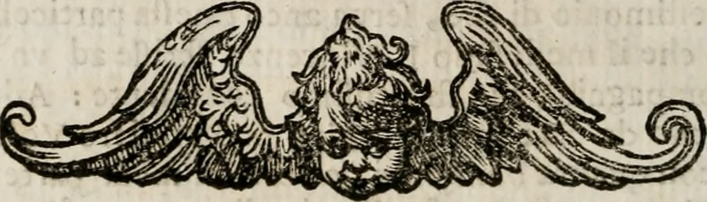 An illustration from Della vita del P. Vincenzo Carafa .., 1651, leaf 121