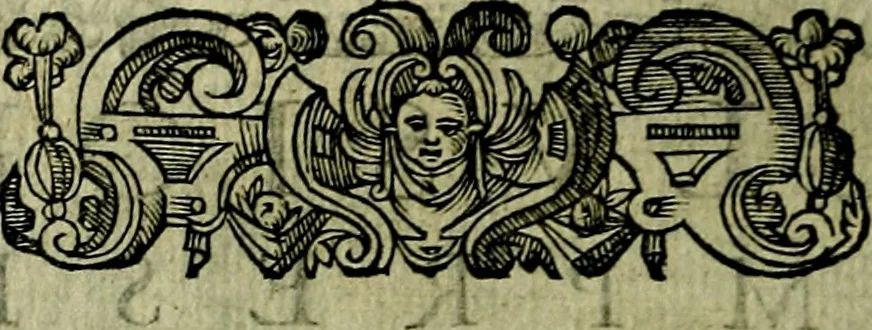 An illustration from Delle allusioni, imprese, et emblemi del Sig. Principio Fabricii da Teramo sopra la vita, opere, et attioni di Gregorio XIII Pontefice Massimo libri VI .., 1588, leaf 207