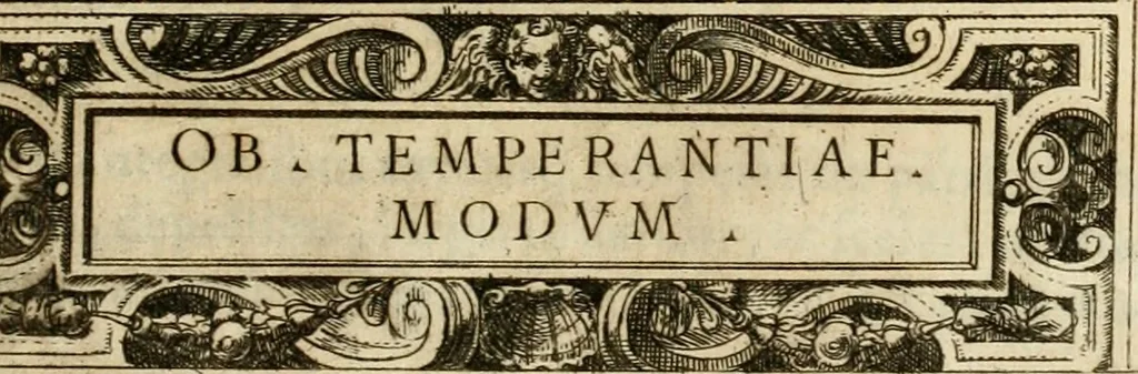 An illustration from Delle allvsioni, imprese, et emblemi del Sig. Principio Fabricii da Teramo sopra la vita, opere, et attioni di Gregorio XIII pontefice massimo, libri VI : nei quali sotto l'allegoria del drago, arme del detto pontefice, si descriue anco la uera forma d'un principe Christiano .., 1588, leaf 258