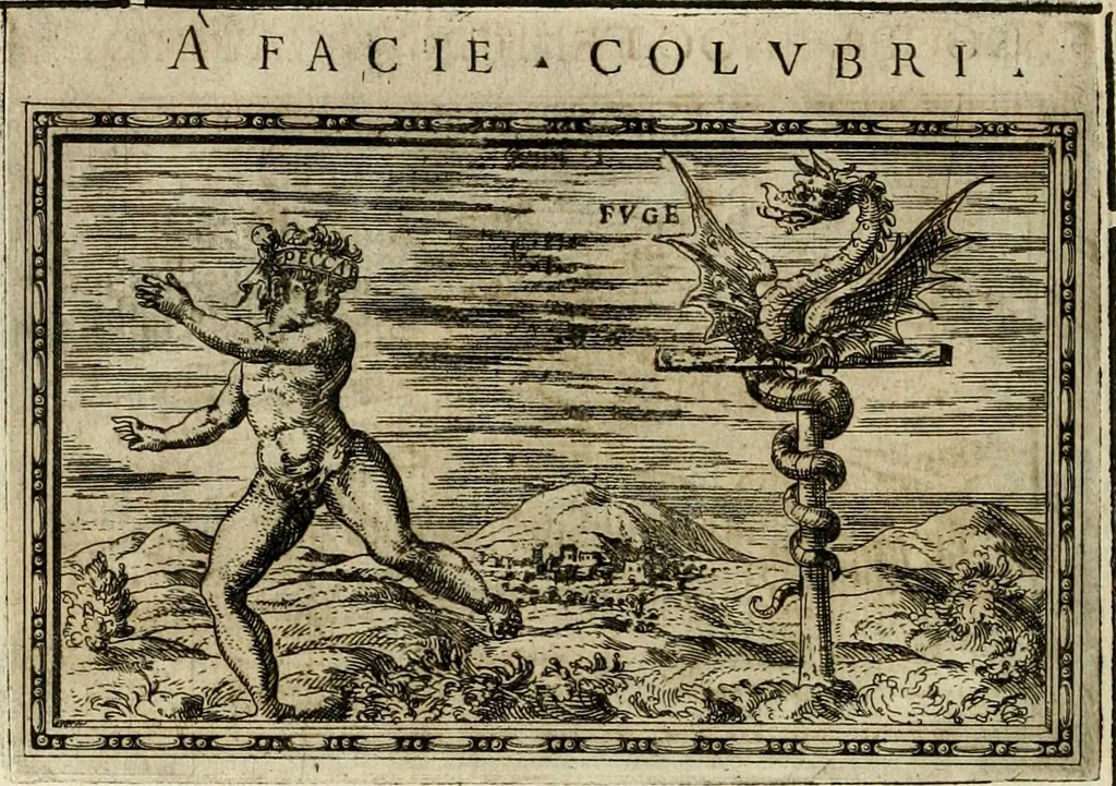 An illustration from Delle allvsioni, imprese, et emblemi del Sig. Principio Fabricii da Teramo sopra la vita, opere, et attioni di Gregorio XIII pontefice massimo, libri VI : nei quali sotto l'allegoria del drago, arme del detto pontefice, si descriue anco la uera forma d'un principe Christiano .., 1588, leaf 349