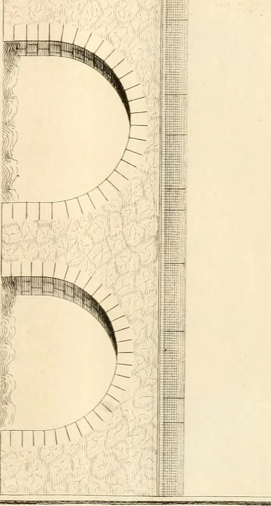 An illustration from Delle antichità di Rimino libri due, 1741, leaf 42