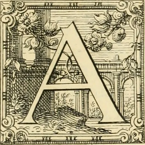An illustration from Delle antichità di Rimino libri due, 1741, leaf 50